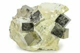 Museum Quality Pyrite Cube Cluster In Matrix - Spain #325094-2